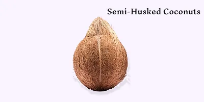Fresh Semi Husked Coconut Exports from India