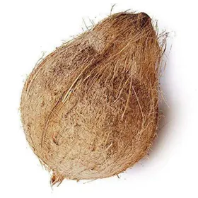 Semi Husked Coconut suppliers in Pollachi