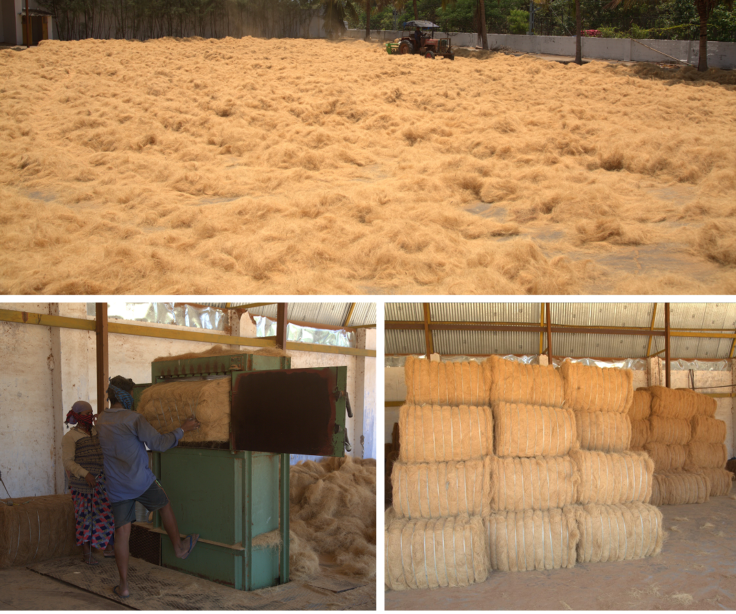 Indian Fresh Pollachi Coconut Wholesalers