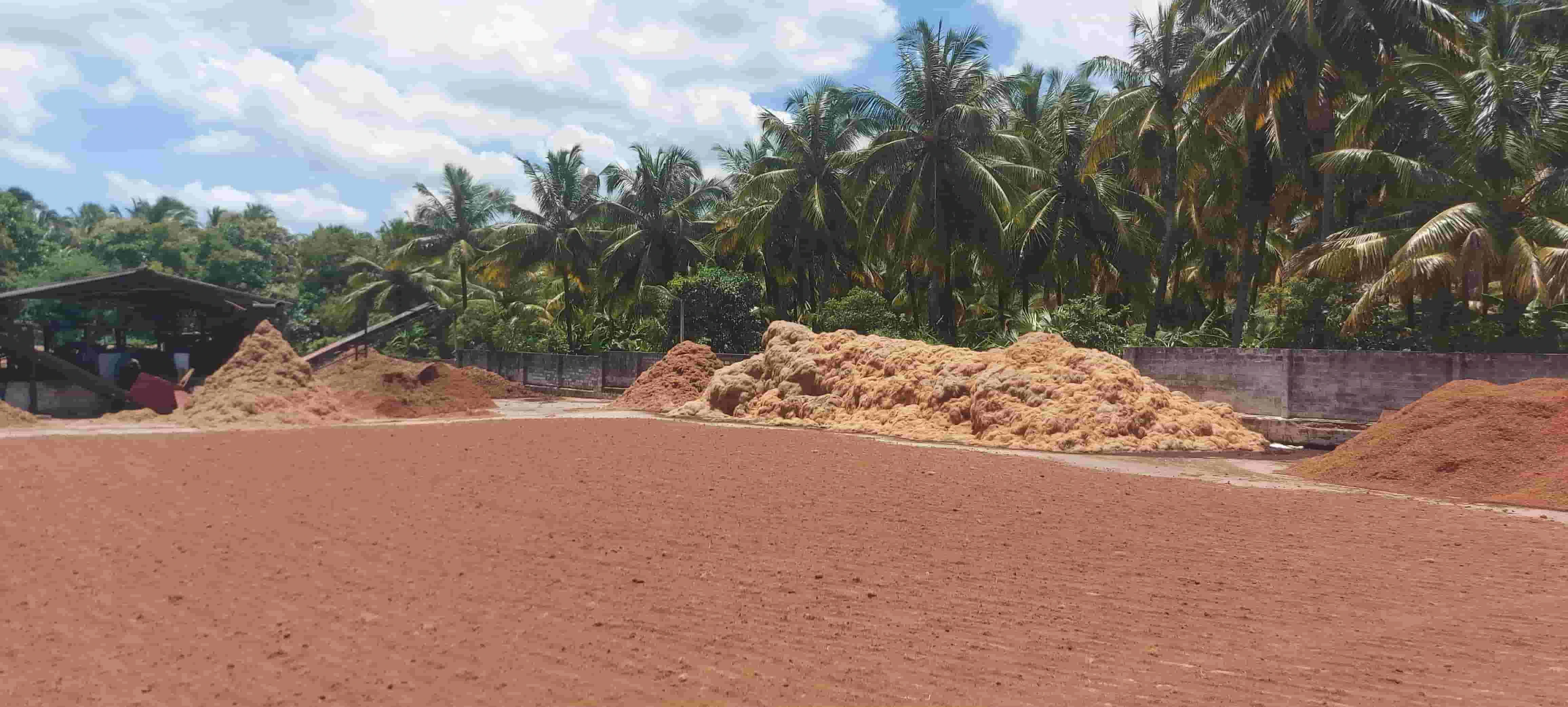 Best Coco coir supplier in India Best Coco coir supplier in India