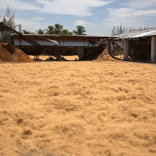 Coco coir fiber drying unit