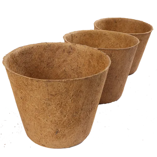 Coir Pot suppliers in Coimbatore, Tamil Nadu, India