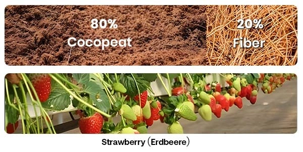 coco coir grow bags wholesale suppliers