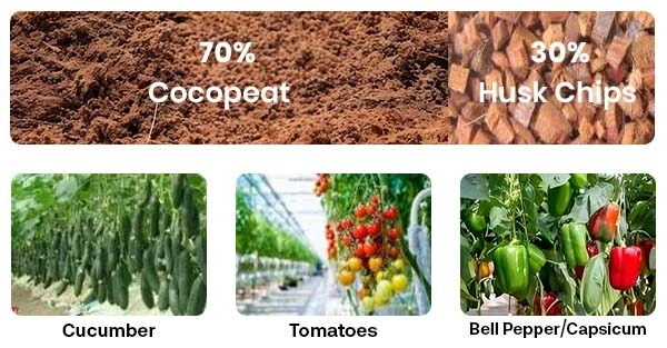 coco peat grow bag exporters in india
